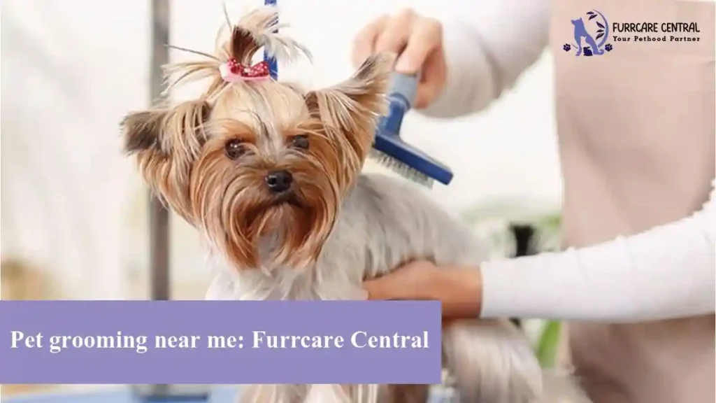 Best Pet grooming near me: Furrcare Central